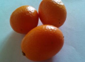 Kumquatfrucht